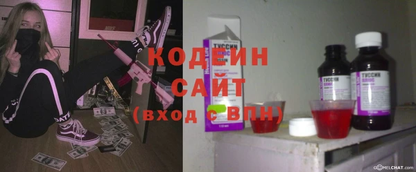 шишки Дмитровск