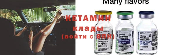 шишки Дмитровск