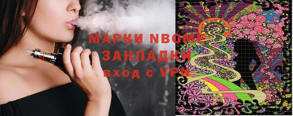 мдпв Ельня
