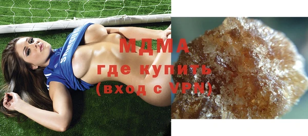 мдпв Ельня