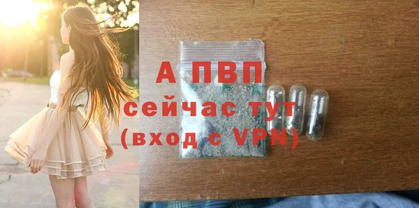 СК Елизово