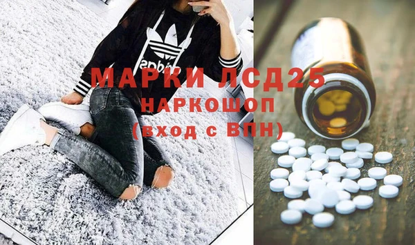 СК Елизово