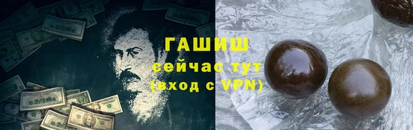 мдпв Ельня