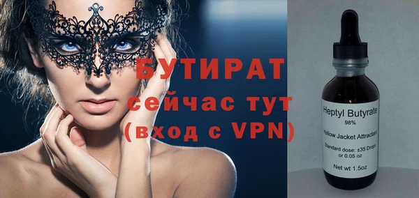 шишки Дмитровск