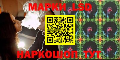 молекула духа Камышлов