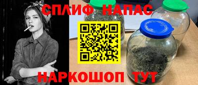молекула духа Камышлов
