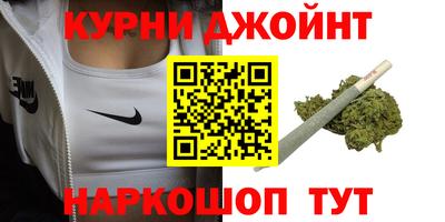 молекула духа Камышлов