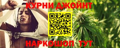 молекула духа Камышлов