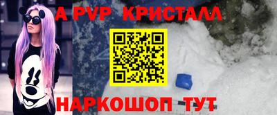 молекула духа Камышлов