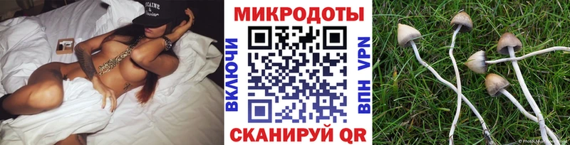 сколько стоит  kraken рабочий сайт  Псилоцибиновые грибы GOLDEN TEACHER  Славянск-на-Кубани 