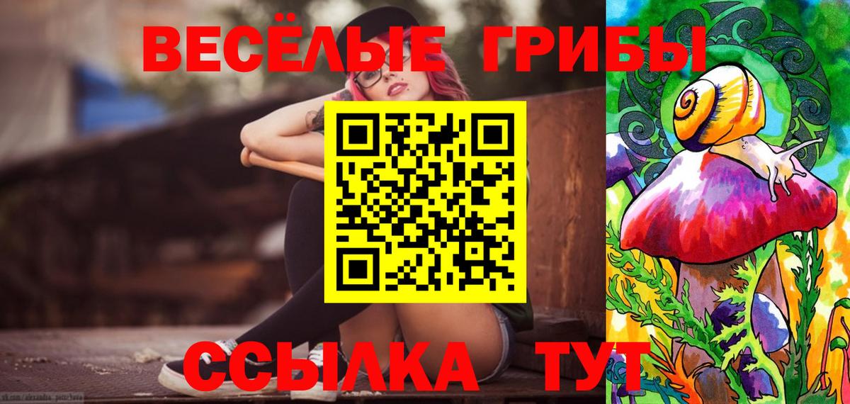 Псилоцибиновые грибы Magic Shrooms  Вход с VPN  наркошоп  Псилоцибиновые грибы прущие грибы  Славянск-на-Кубани 