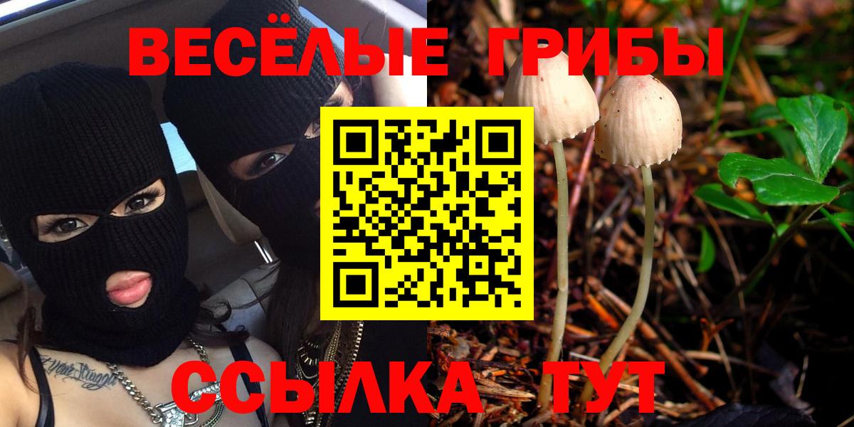 Псилоцибиновые грибы прущие грибы Славянск-на-Кубани